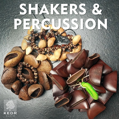 Discover "Shakers and Percussion" in our sound library, featuring natural instruments like seed pods and beads from Sonniss.
