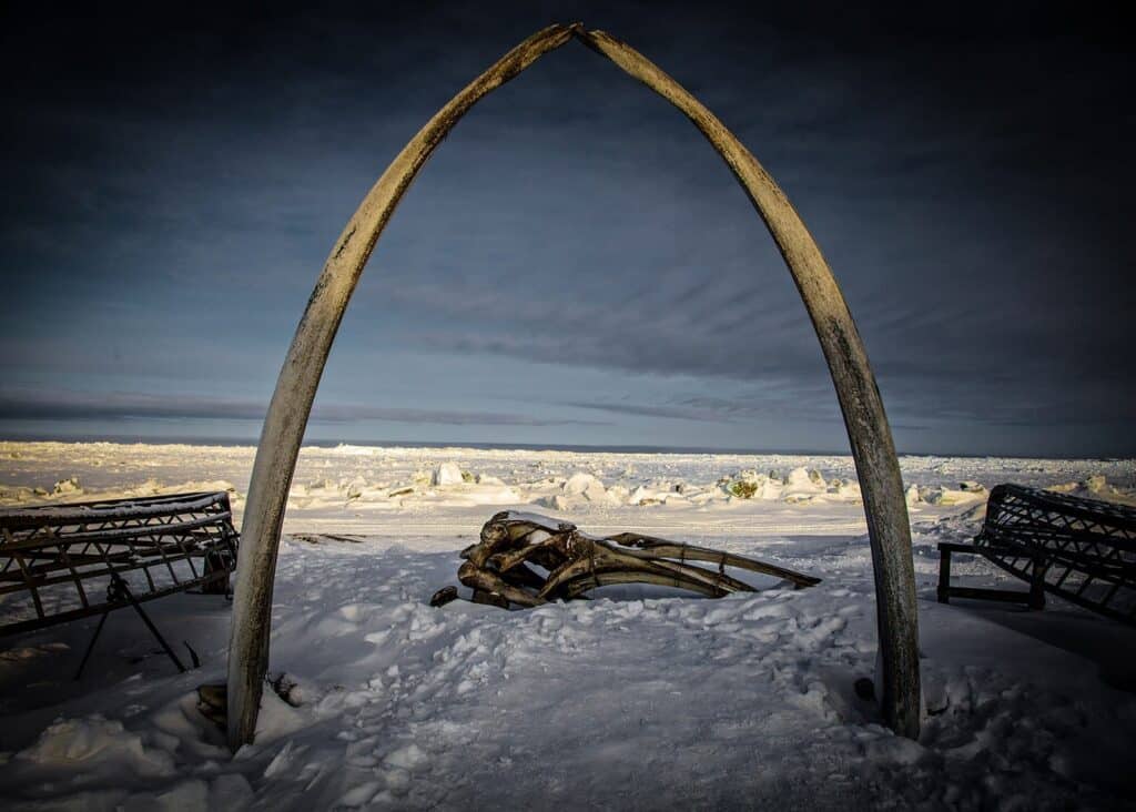 Whale bones arch on snowy beach with icy sea—perfect ambient sound for arctic sound effects library on Sonniss.