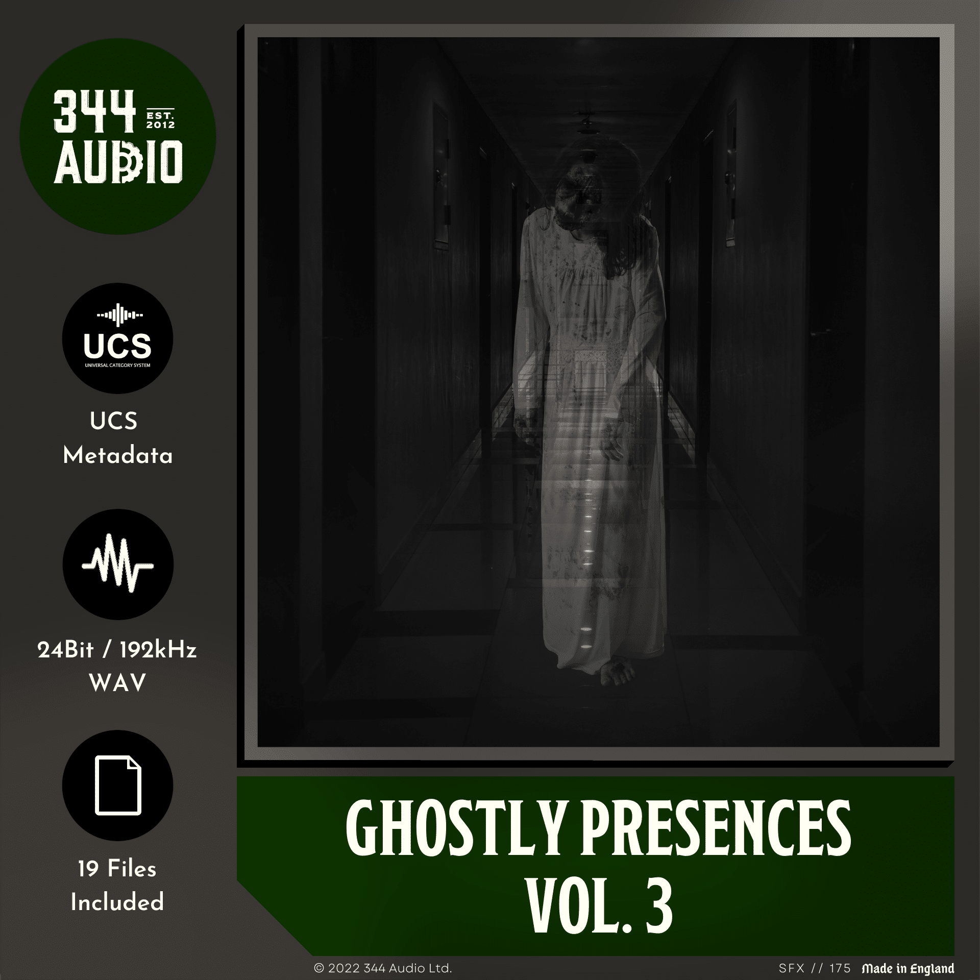 Ghostly Ambience Sound Effects - Ghostly Presences Vol. 3 | SONNISS