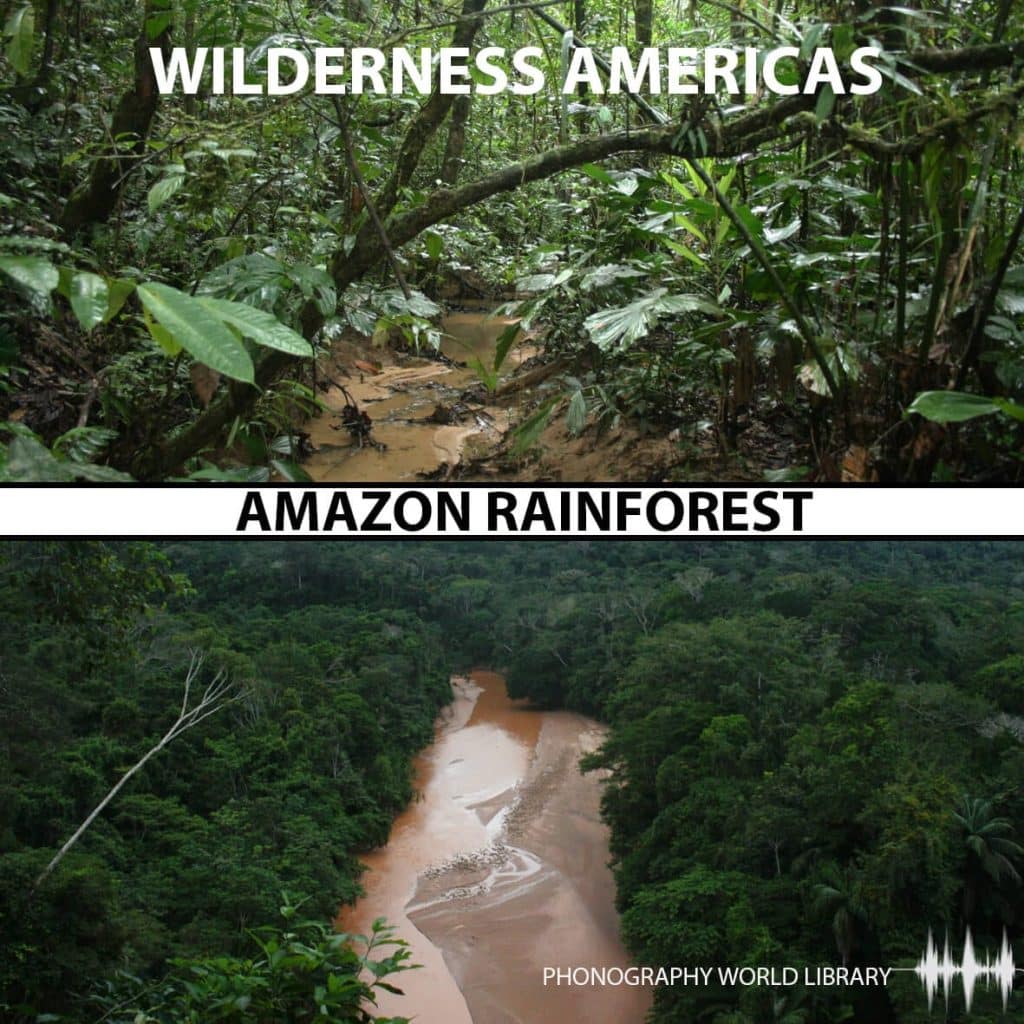 Explore our Amazon Rainforest sound effects library image on Sonniss: dense jungle sfx & river ambient sounds for audio projects.