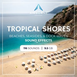 Aerial view of a sandy beach; ideal for tropical beach ambience sound library needs on Sonniss.
