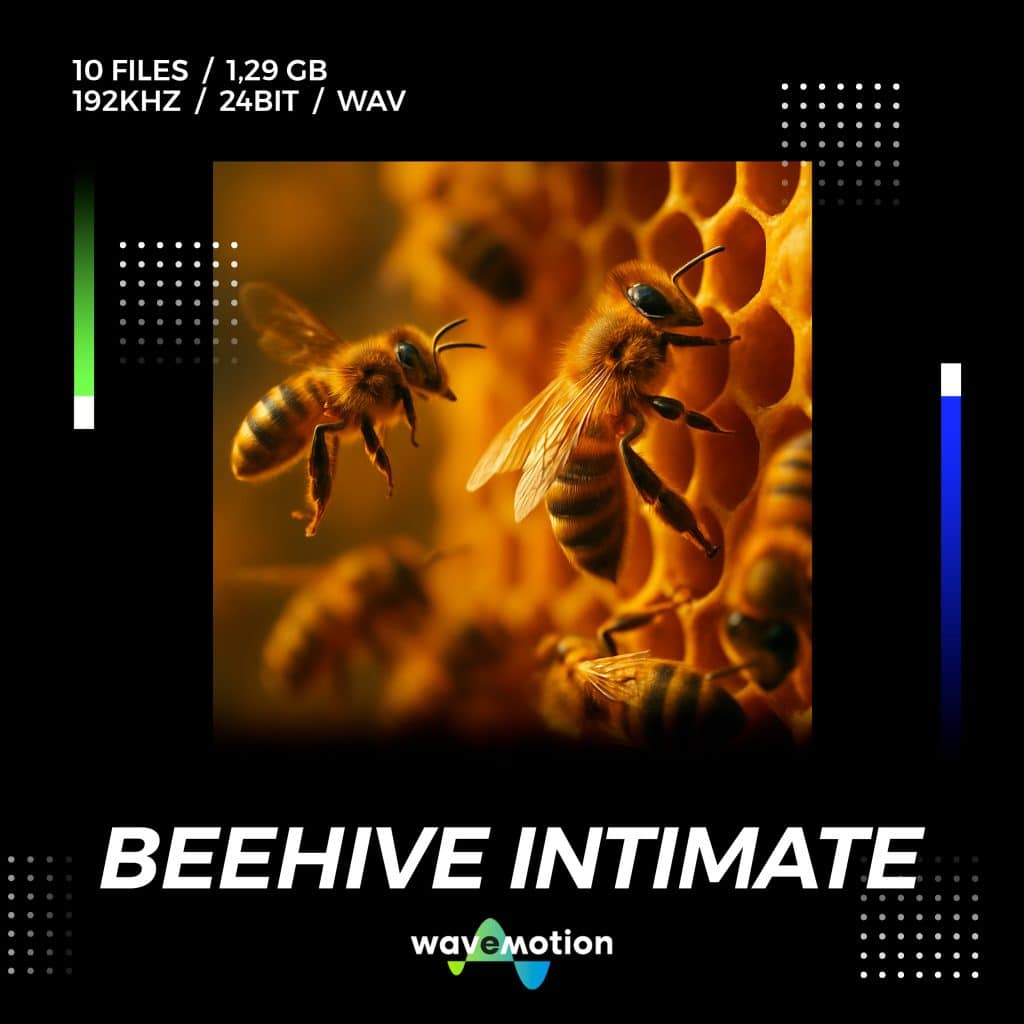 Image of a beehive sound effects library on Sonniss—perfect for realistic bee and honeycomb sfx needs.