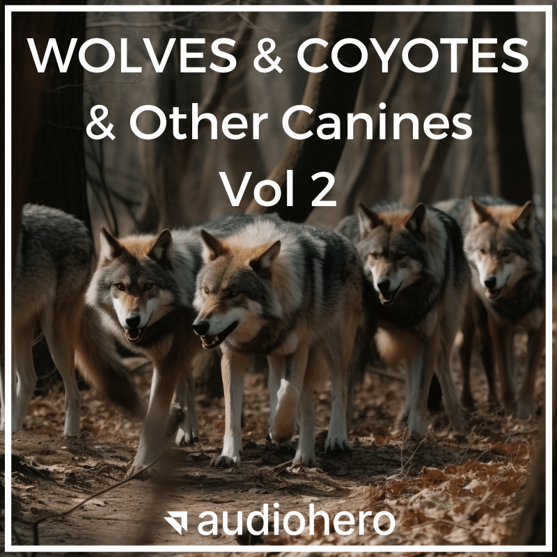 A sound effects library image on Sonniss: Four wolves walking in a forest path—perfect for wildlife sfx or wolf ambiences.