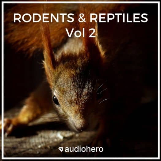 Image of a sound effects library on Sonniss: Close-up squirrel shadow, "Rodents & Reptiles Vol 2" SFX for wildlife projects.