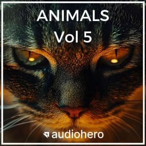 Close-up of a cat’s face for an animal sound effects library on Sonniss, "ANIMALS Vol 5" text and audiohero logo shown.