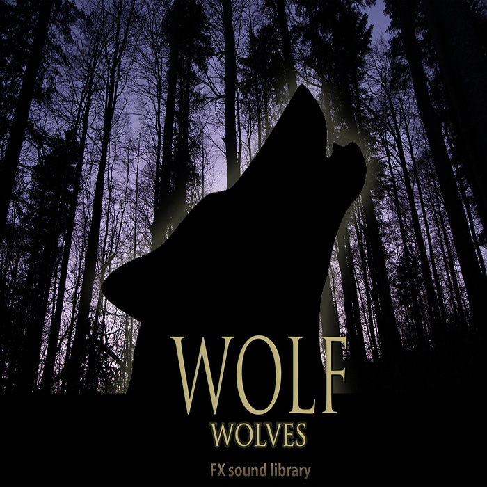 Silhouette of a howling wolf in front of a dark twilight forest. “WOLF WOLVES FX sound library” appears in large gold letters below.