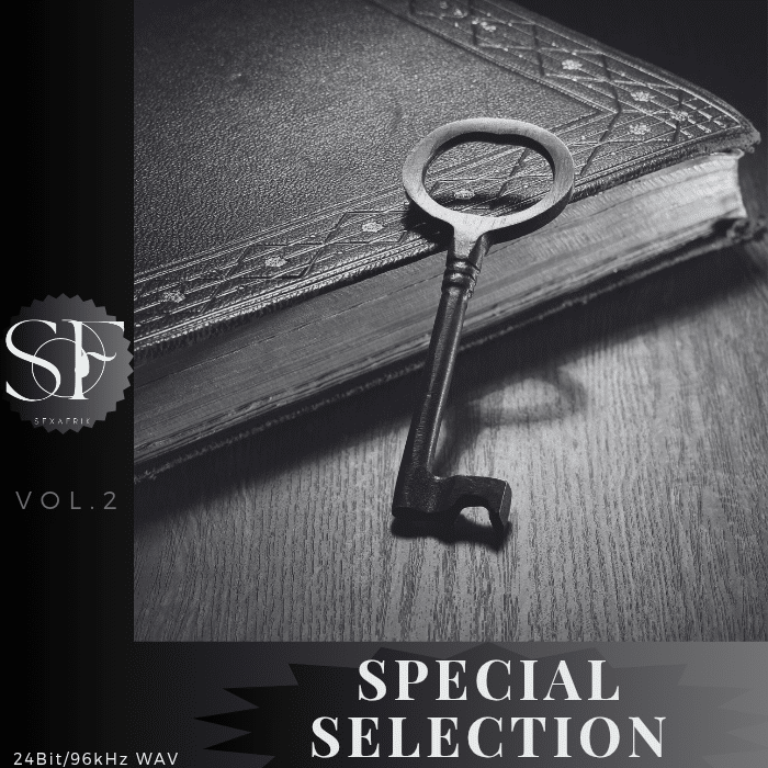 A vintage key on the corner of an ornate old book in black and white. Text: "SPECIAL SELECTION," "VOL. 2," "24Bit/96kHz WAV.