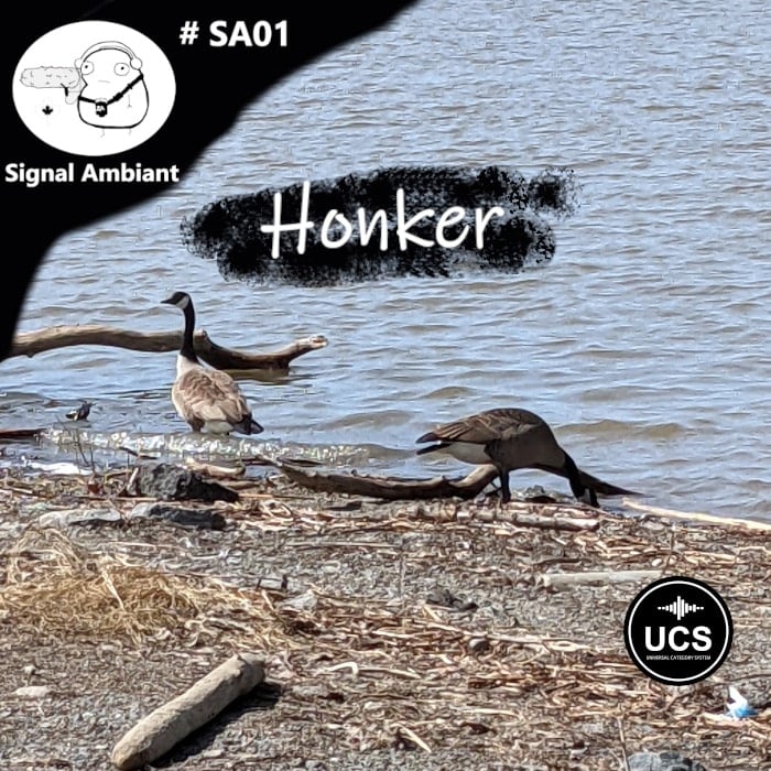Two geese stand on a rocky lakeshore with driftwood and water behind them. Text: “Signal Ambiant,” “#SA01,” “Honker,” two logos.