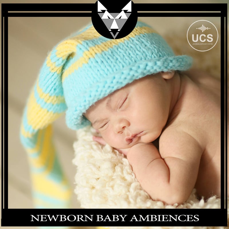 Sleeping newborn baby in a blue and yellow knitted hat on a cream blanket. Text reads "NEWBORN BABY AMBIENCES" with corner logos.