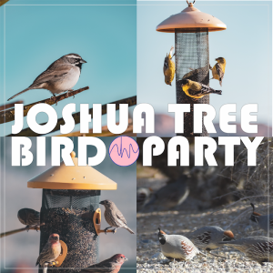 Split image with various birds at feeders, bold "Joshua Tree Bird Party" text, sky and desert landscape in the background.