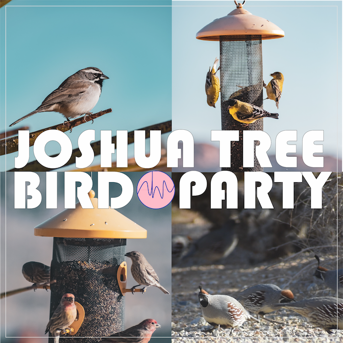 Split image with various birds at feeders, bold "Joshua Tree Bird Party" text, sky and desert landscape in the background.