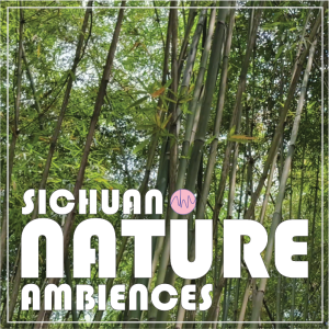 Bamboo forest with green leaves and tall bamboo stalks. Text reads “Sichuan Nature Ambiences” with a pink sound wave in “Nature.”.