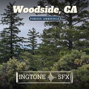 Pine trees and dense shrubs in a forest beneath a cloudy sky. Overlaid text reads: “Woodside, CA - Forest Ambience” and “INGTONE SFX”, accompanied by a soundwave graphic.