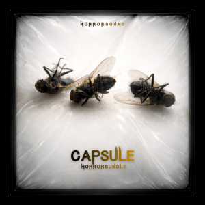 Three dead flies rest on a translucent white surface with the word “CAPSULE” clearly visible.