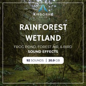 Dense rainforest with moss-covered trees. Overlaid text reads: “Airborne Sound. Rainforest Wetland. Frog Pond, Forest Air, & Bird Sound Effects. 92 sounds | 20.9 GB.”.