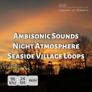 Ambisonic Sounds - Night Atmosphere Seaside Village Loops cover art