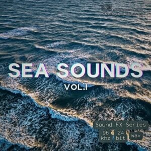 Ocean waves flow onto a sandy beach in a top-down view for Sea Sounds Vol.1.