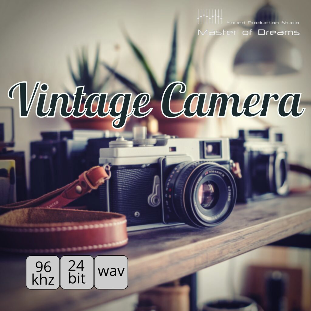 Vintage camera with a leather strap rests on a wooden shelf in front of potted plants.