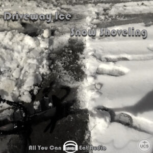 Driveway Ice Snow Shoveling cover art