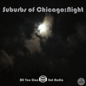 A bright moon shines through dark clouds at night in Suburbs Of Chicago_Night.