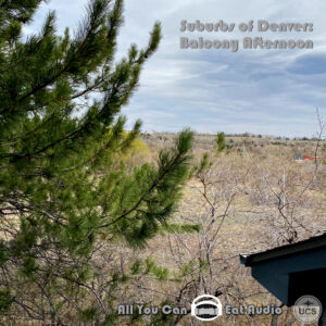 Grassy suburban landscape with trees and shrubs seen from a balcony in Suburbs Of Denver_Balcony Afternoon.
