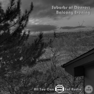 Suburbs Of Denver_Balcony Evening in black and white shows suburban tree tops and a distant horizon at sunset.