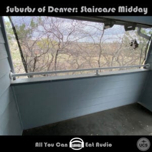 Bare trees stand under a bright sky, viewed from a residential balcony in Suburbs Of Denver_Staircase Midday.